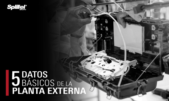 Datos esenciales de Planta externa