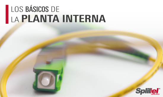 Los básicos de la Planta Interna